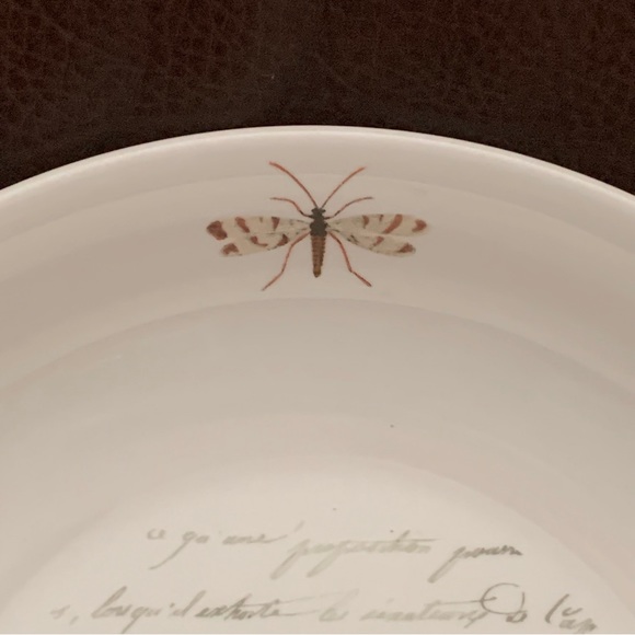 Skull with Script and Insects Porcelain Halloween Bowl - Picture 3 of 13